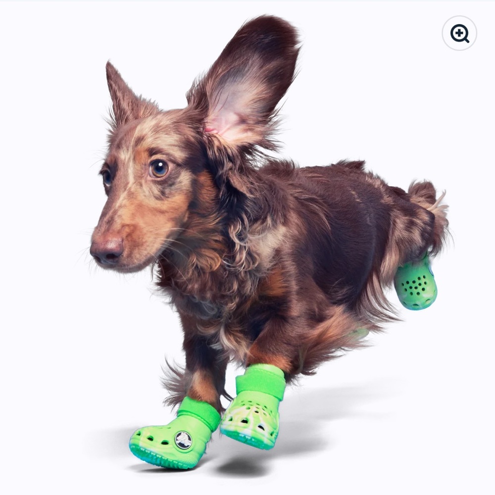 NEW NIB BARK Dog Crocs Limited Ed. Green Slime Swirl w/ Velcro Small S Small - Picture 5 of 16
